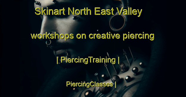 Skinart North East Valley workshops on creative piercing | PiercingTraining | PiercingClasses | SkinartTraining-New Zealand